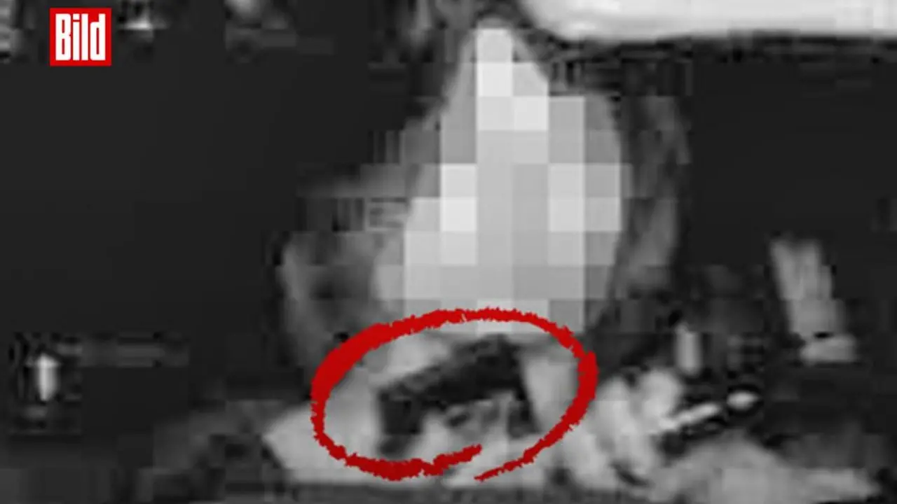 بسبب قطعة خبز.. محكمة تسقط غرامة استخدام الهاتف المحمول أثناء القيادة